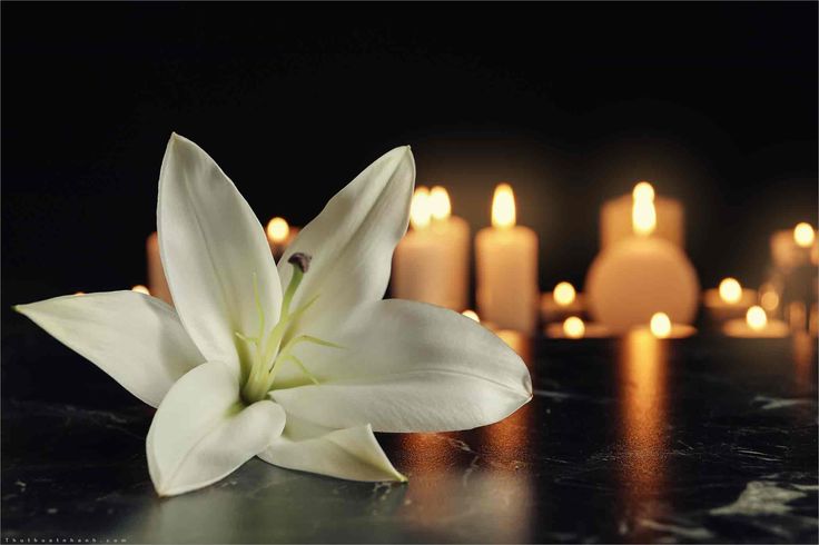 TIN BUỒN: Nhà thơ Văn Thảnh qua đời